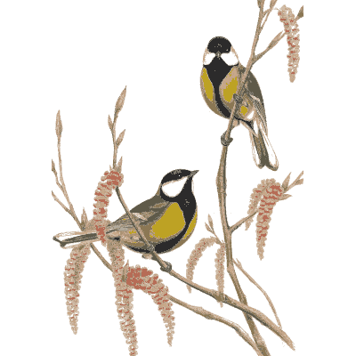 Great tits on a branch