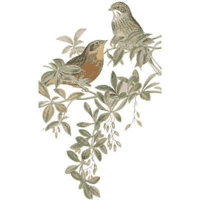 Small birds on a spray