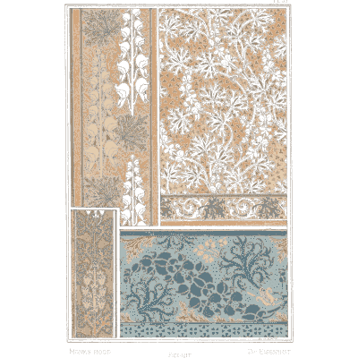 Flower spike ornament plate - La Plante et ses Applications Ornementales - 1896