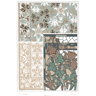 Star flower ornament plate - La Plante et ses Applications Ornementales - 1896