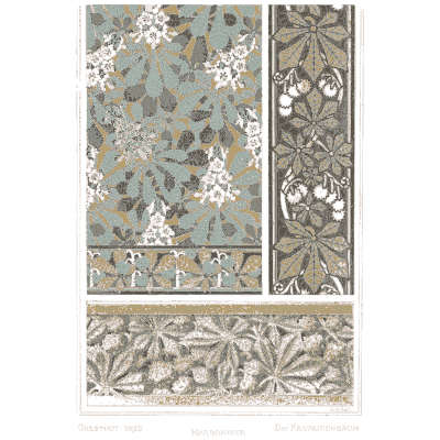 Flower 06 - La Plante et ses Applications Ornementales - 1896