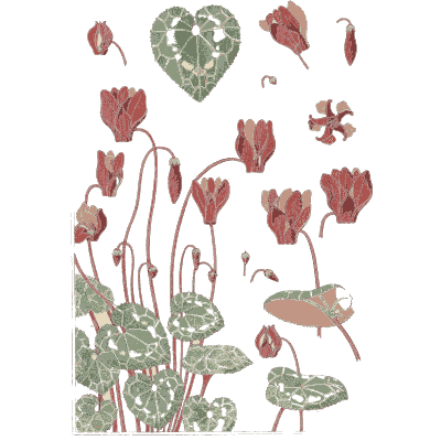 Cyclamen plant study - La Plante et ses Applications Ornementales - 1896