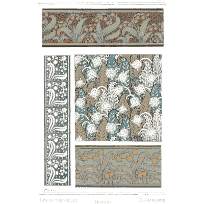 Flower 10 - La Plante et ses Applications Ornementales - 1896