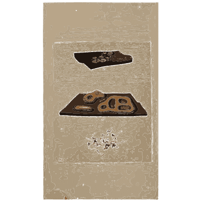 Crust fungus on bark - Scottish Cryptogamic Flora, Volume 1 - 1823