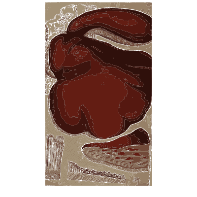 Folded red fungus - Scottish Cryptogamic Flora, Volume 1 - 1823