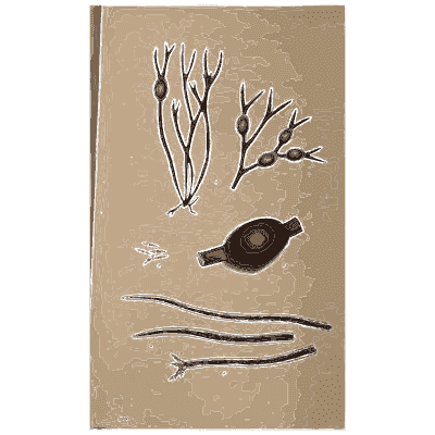 Small stalked fungi - Scottish Cryptogamic Flora, Volume 1 - 1823
