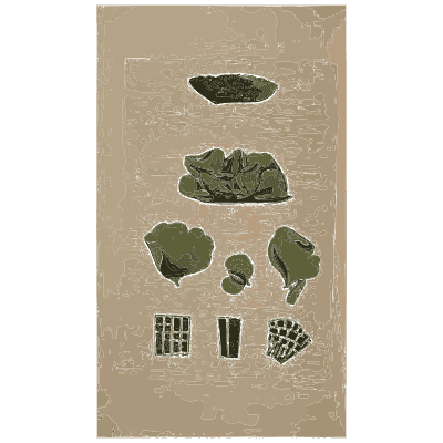 Green lobed lichen - Scottish Cryptogamic Flora, Volume 1 - 1823