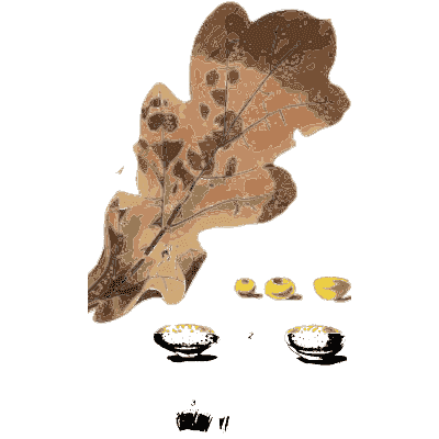 Oak leaf with fungal blotches - Scottish Cryptogamic Flora, Volume 2 - 1824