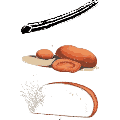 Black club and orange jelly fungi - Scottish Cryptogamic Flora, Volume 3 - 1825