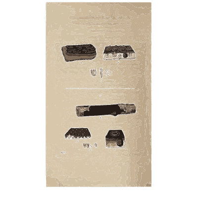 Black crust fungus on bark - Scottish Cryptogamic Flora, Volume 4 - 1826