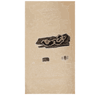 Pale fungus on a fallen log - Scottish Cryptogamic Flora, Volume 4 - 1826