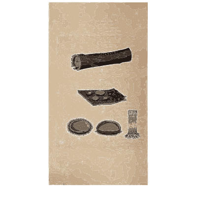 Crust fungus on a log - Scottish Cryptogamic Flora, Volume 4 - 1826