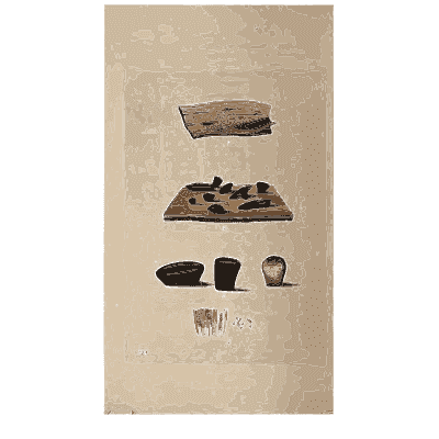 Black spore bodies on bark - Scottish Cryptogamic Flora, Volume 4 - 1826