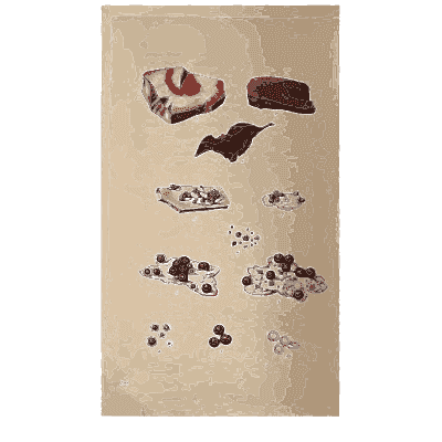 Red cup fungus pieces - Scottish Cryptogamic Flora, Volume 4 - 1826
