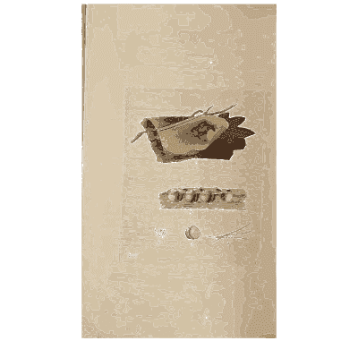 Small fungi on bark - Scottish Cryptogamic Flora, Volume 4 - 1826