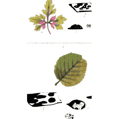 Leaves with black spore masses - Scottish Cryptogamic Flora, Volume 5 - 1828