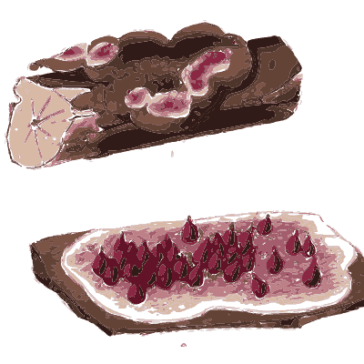 Barked log with crust fungus - Scottish Cryptogamic Flora, Volume 5 - 1828