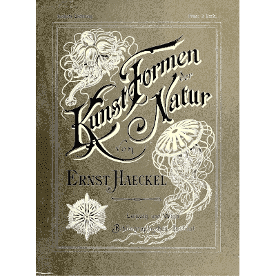 Jellyfish on a printed cover 01 - Kunstformen der Natur, Part 2 - 1904