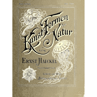 Jellyfish on a printed cover 02 - Kunstformen der Natur, Part 2 - 1904