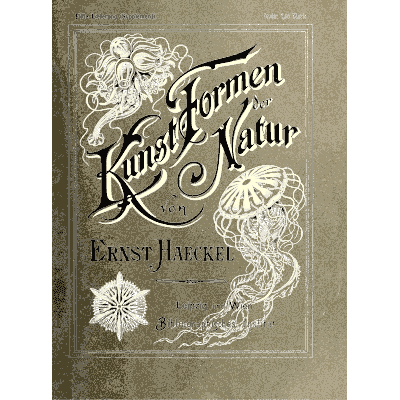 Jellyfish on a printed cover 03 - Kunstformen der Natur, Part 2 - 1904
