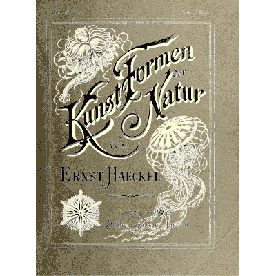 Jellyfish on a printed cover 04 - Kunstformen der Natur, Part 2 - 1904