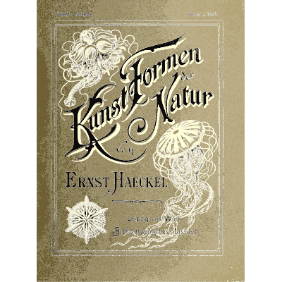 Jellyfish on a printed cover 05 - Kunstformen der Natur, Part 2 - 1904