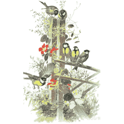Birds on a berried branch - Dekorative Vorbilder, Volume 4 - 1892