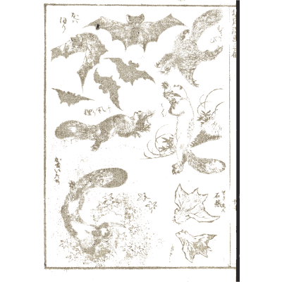 Bats and flying squirrels - Hokusai Manga, Volume 2 - 1868