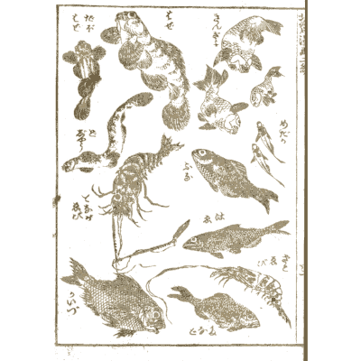 Fish, crayfish and shrimp - Hokusai Manga, Volume 2 - 1868