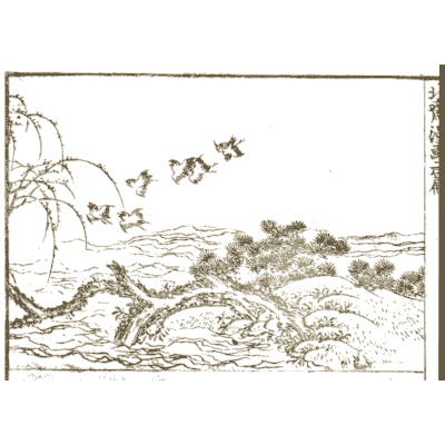 Geese over a pine shore - Hokusai Manga, Volume 2 - 1868