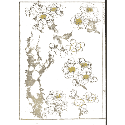 Blossom branches - Hokusai Manga, Volume 2 - 1868