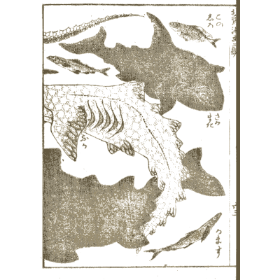 Sharks and fish - Hokusai Manga, Volume 2 - 1868