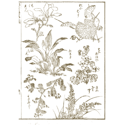 Flowering plants - Hokusai Manga, Volume 2 - 1868