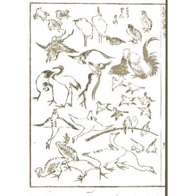 Bird sketches - Hokusai Manga, Volume 2 - 1868