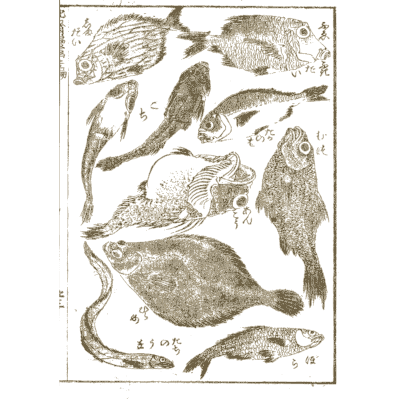 Fish studies - Hokusai Manga, Volume 2 - 1868
