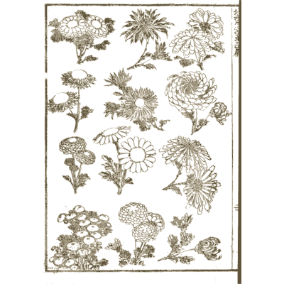 Chrysanthemum studies - Hokusai Manga, Volume 2 - 1868
