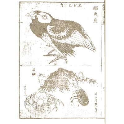 Perched bird and crabs - Hokusai Manga, Volume 8 - 1868