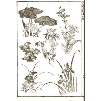 Lotus leaves, iris and wild flowers - Hokusai Manga, Volume 1 - 1868