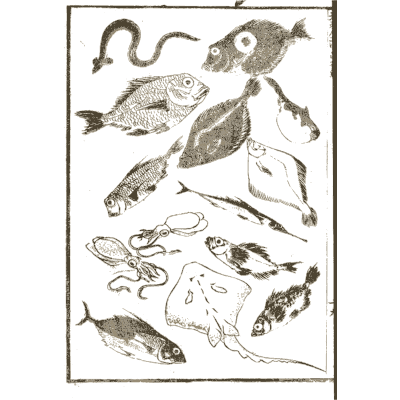 Fish and sea creatures - Hokusai Manga, Volume 1 - 1868
