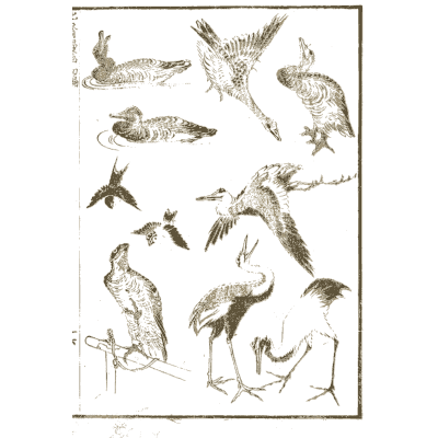 Cranes, ducks and birds of prey - Hokusai Manga, Volume 1 - 1868