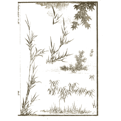 Bamboo and grasses - Hokusai Manga, Volume 1 - 1868