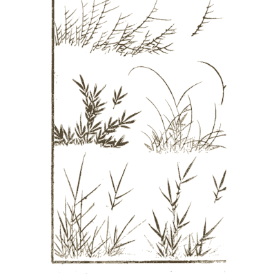 Reeds and grasses - Hokusai Manga, Volume 1 - 1868