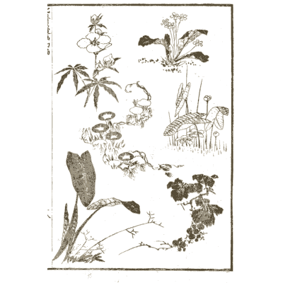 Flowering plants and weeds - Hokusai Manga, Volume 1 - 1868