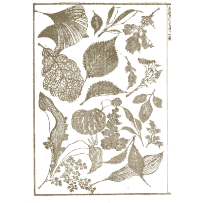 Leaves of many plants - Hokusai Manga, Volume 3 - 1868