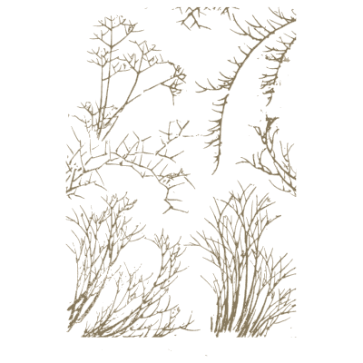 Sheet of bare branches - Hokusai Manga, Volume 3 - 1868