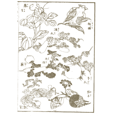 Flowers and blossoms - Hokusai Manga, Volume 3 - 1868