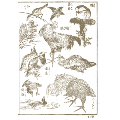 Rooster, hens and small birds - Hokusai Manga, Volume 3 - 1868