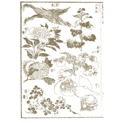 Peony, bird and flowers - Hokusai Manga, Volume 3 - 1868