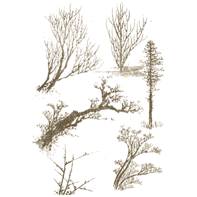 Studies of bare trees and shrubs - Hokusai Manga, Volume 4 - 1868