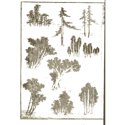 Pines and cedar trees - Hokusai Manga, Volume 4 - 1868